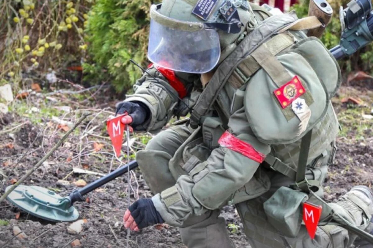    В Курской области специалисты полностью разминировали 81 населённый пункт