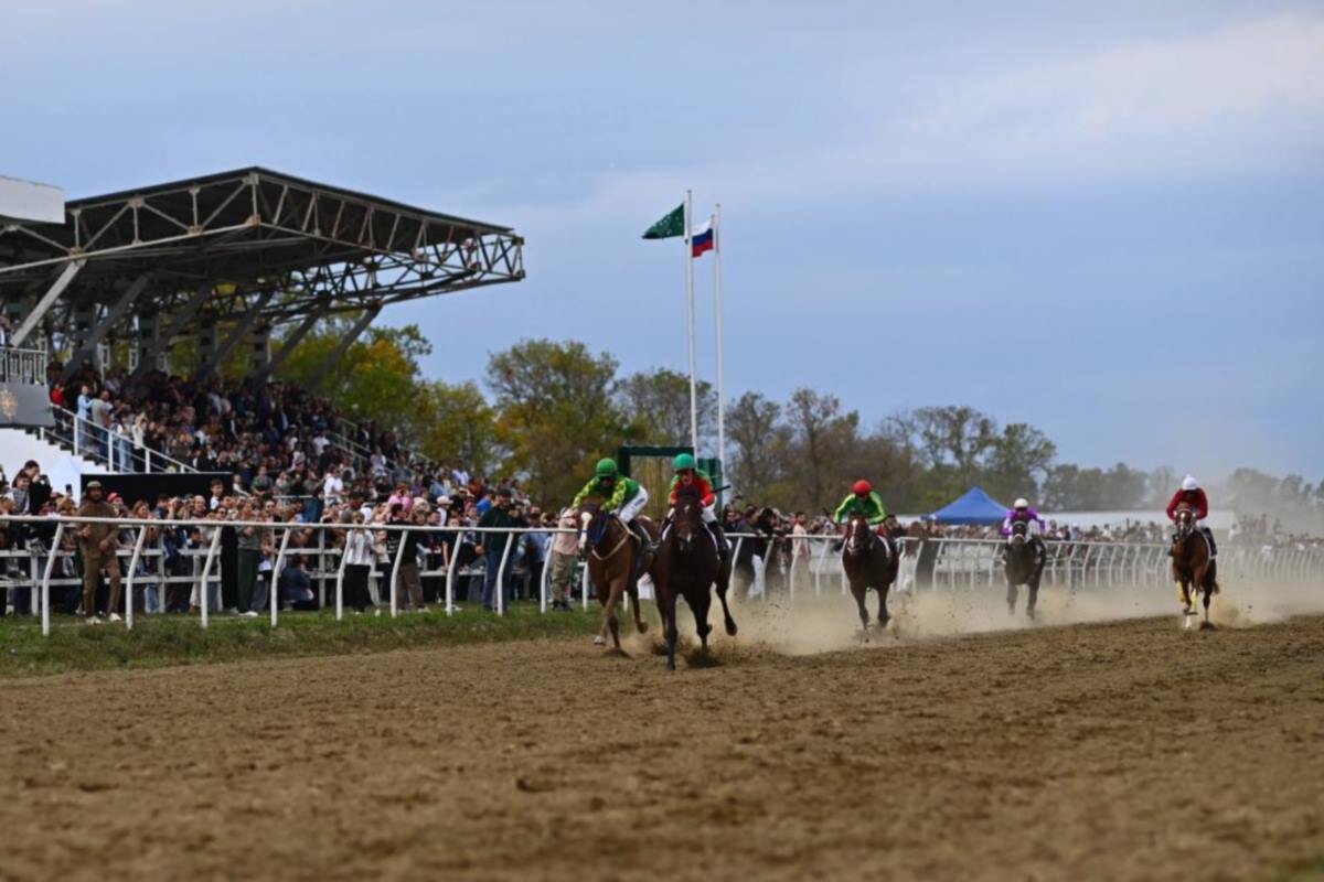    Фото: Алексей Гусев, источник: sovetskaya-adygeya.ru