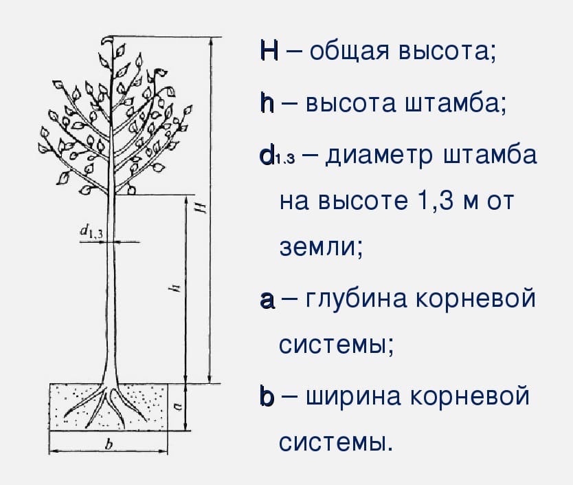 Пример штамба