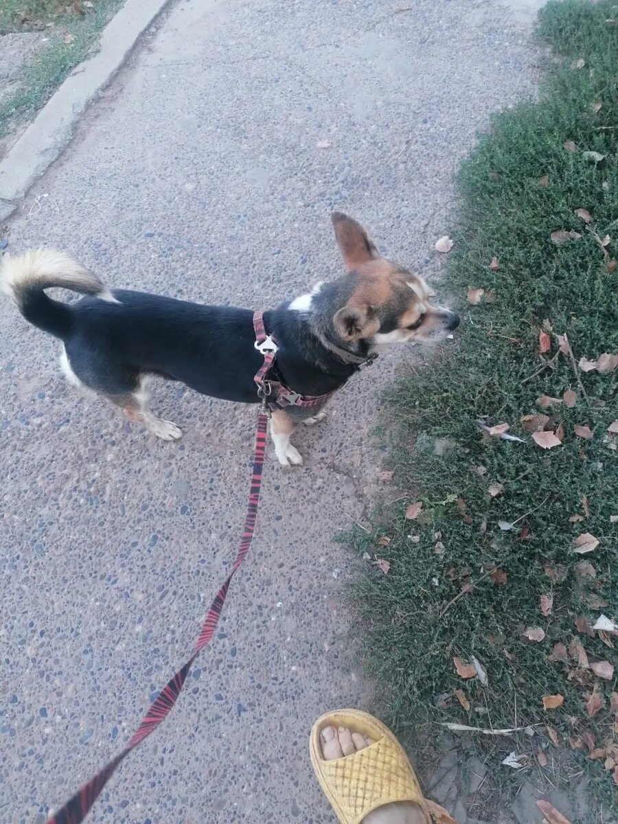 Вот такая Марта сейчас