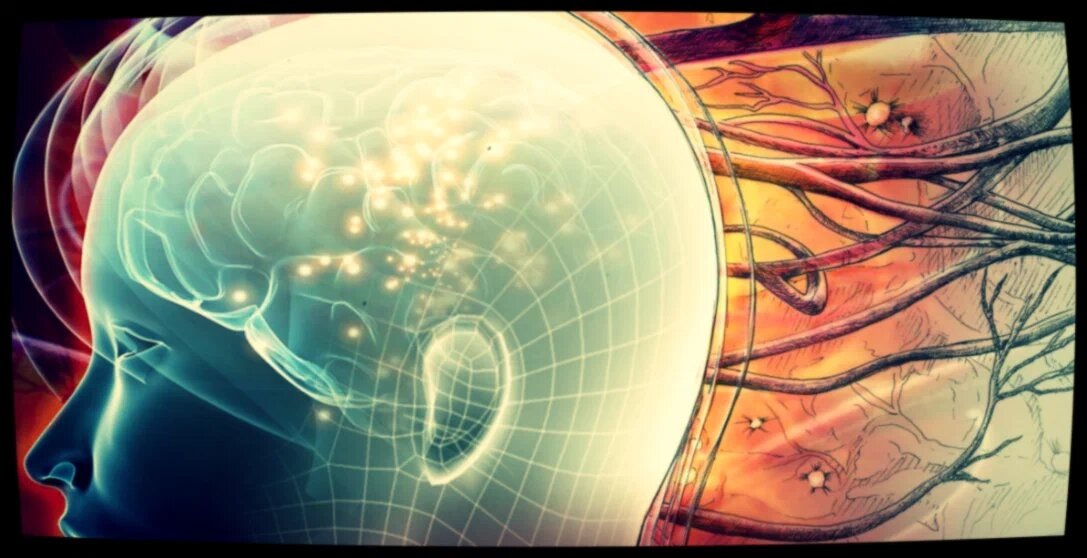 Мозг не терпит лени.