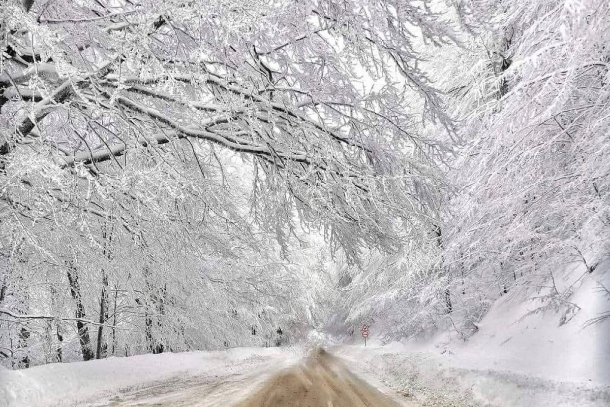 Троянский перевал - в 60-ти км. от нас (фото из ФБ).