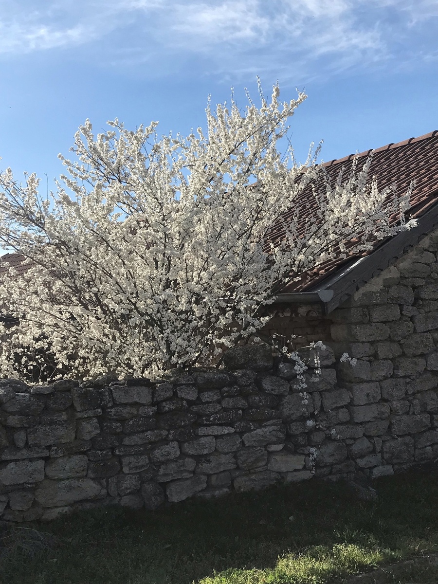 Малость тутошнего в ленту... 