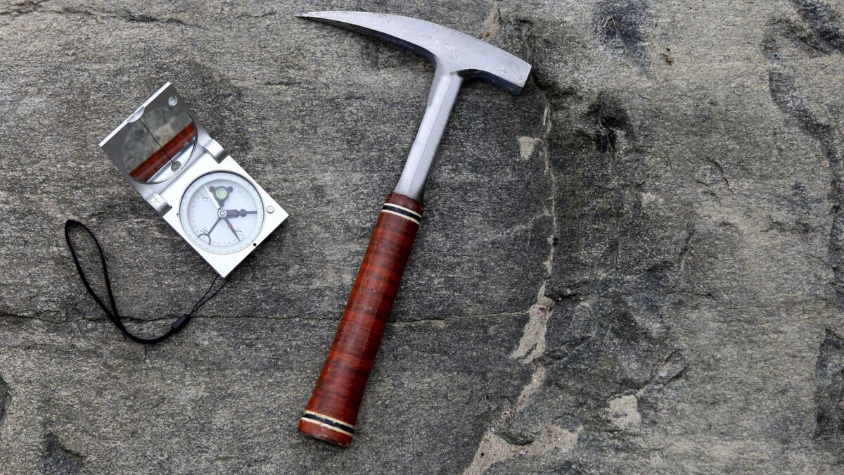    Фото: Julija Sh / Shutterstock / Fotodom