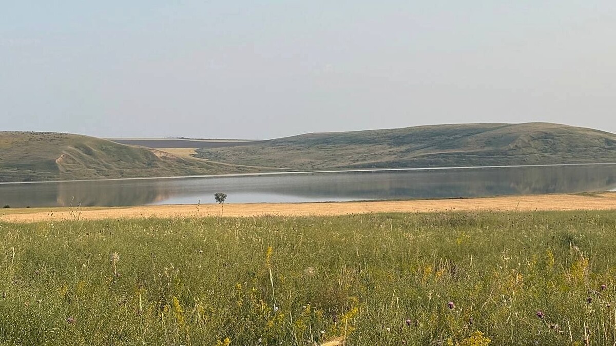    Фото: телеканал «Краснодар»