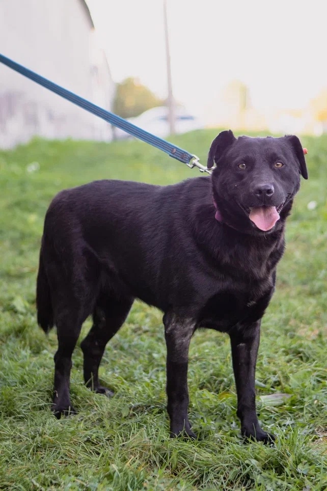 Сердце Жизель полно любви, несмотря ни на что!
