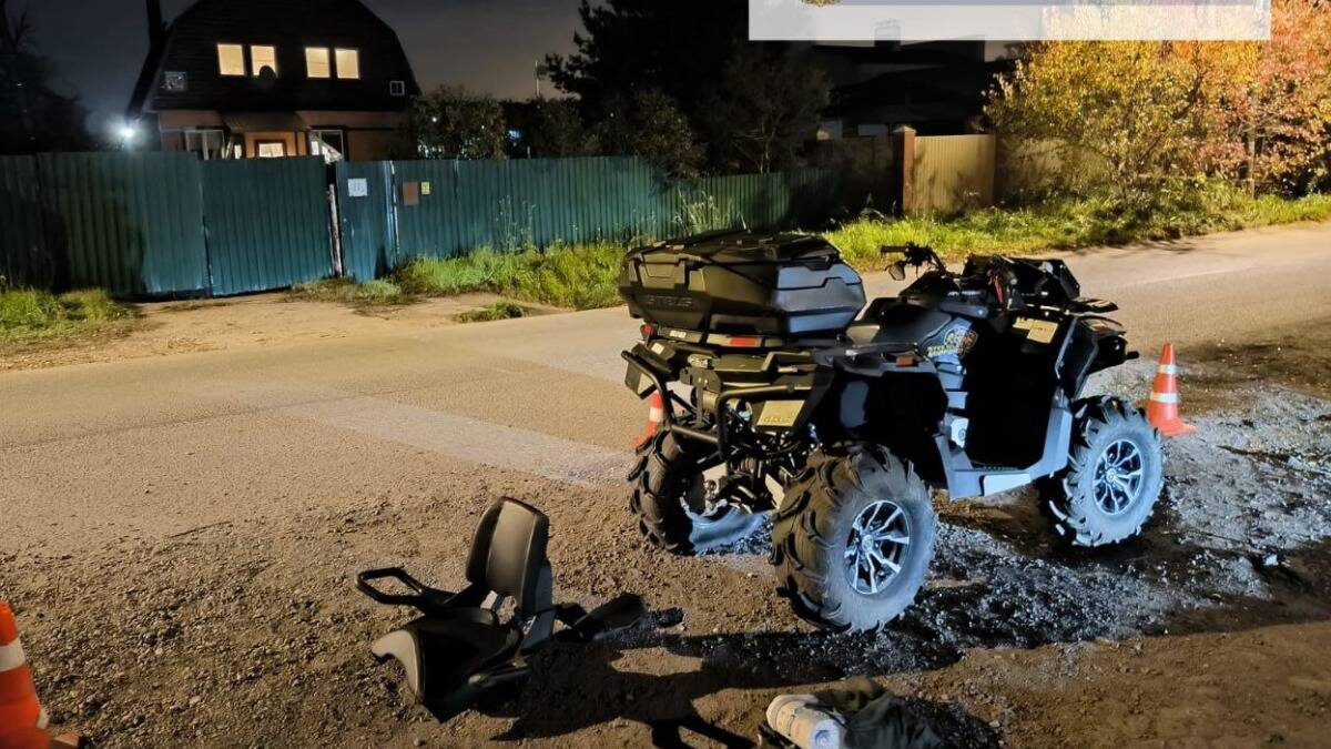    Фото: Прокуратура Московской области / Telegram