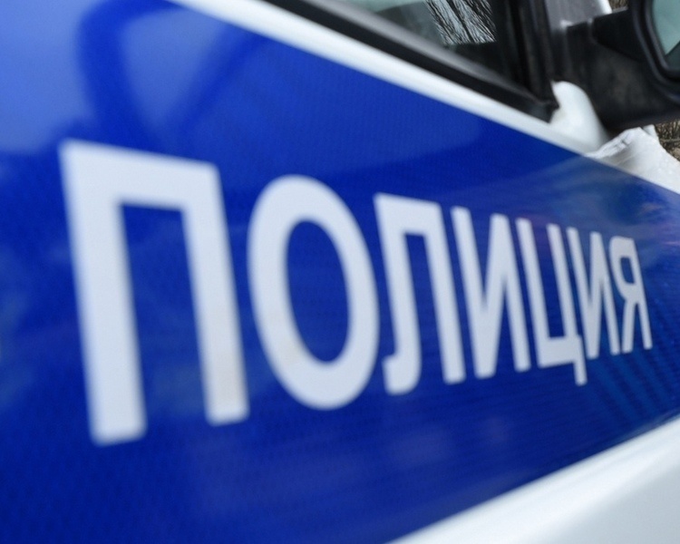     Курянин лишился почти 2 млн рублей при заказе автомобиля через мошенников