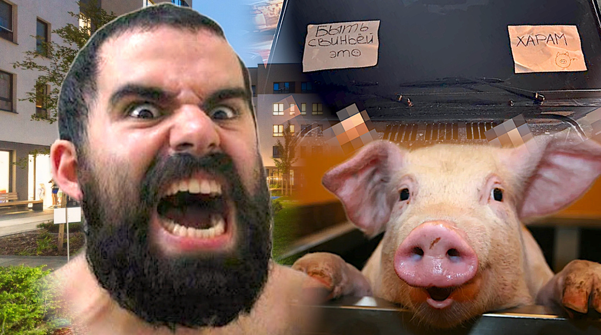 Коллаж автора 