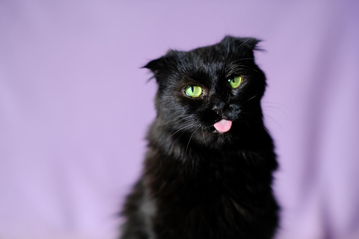 Прежде чем публиковать статью, мы согласовали её с Согдианой. Она добавила парочку важных пунктов :)