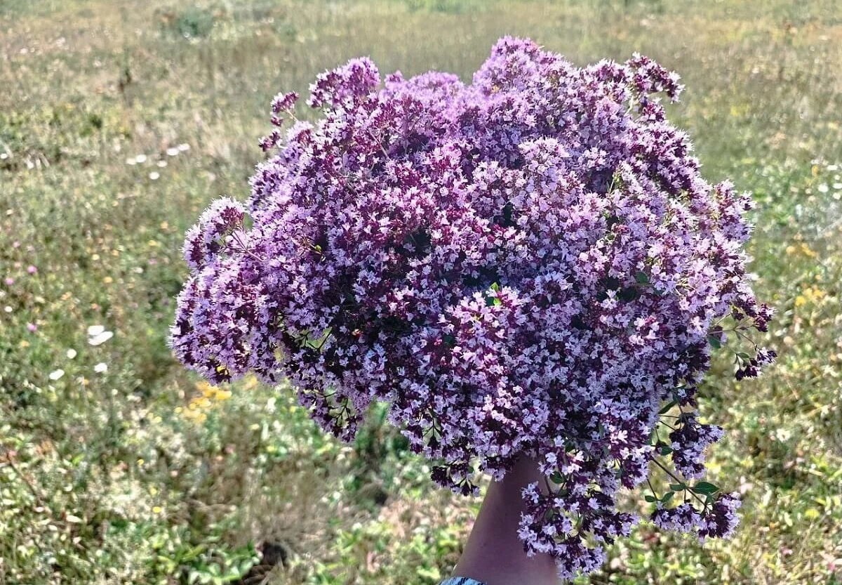 Фото: UfacityNews.ru