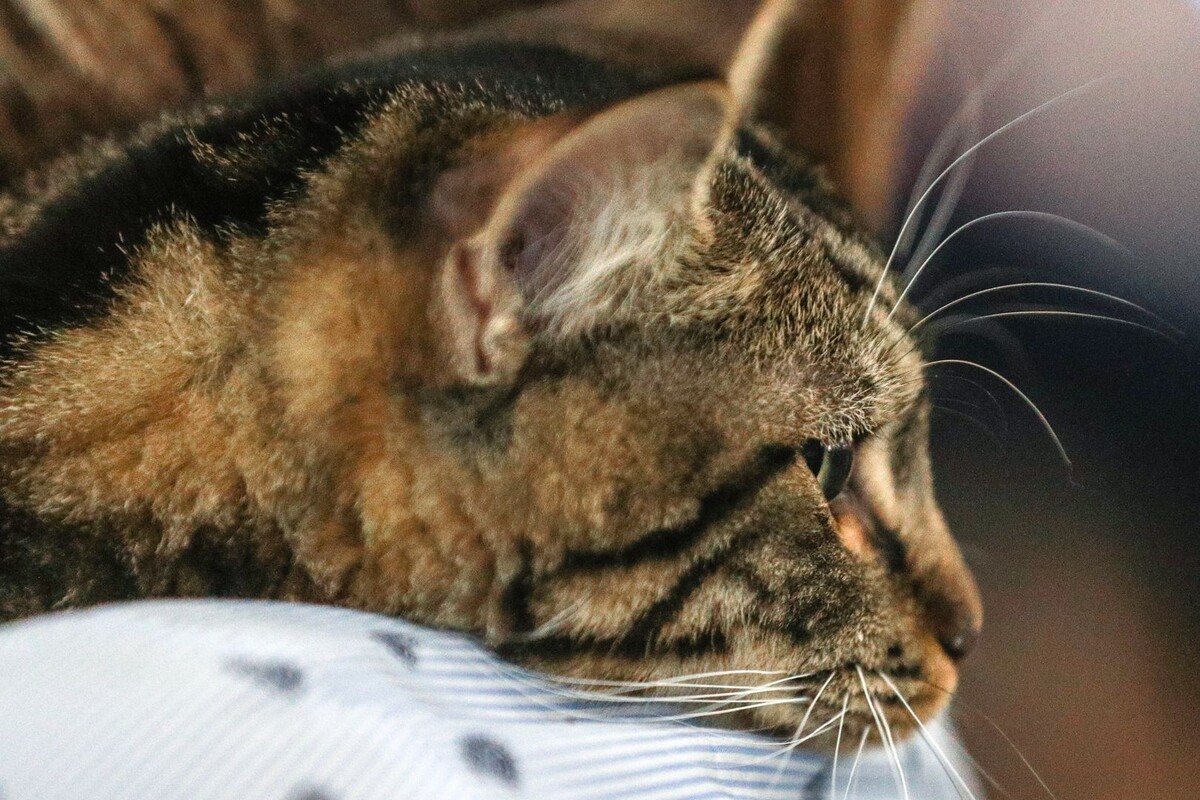     / Источник: © Bulkin Sergey/Global Look Press