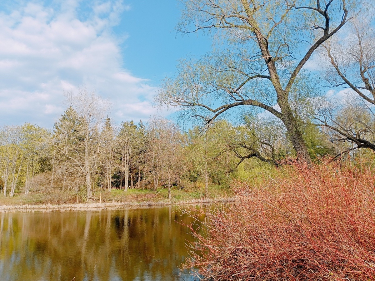    Фото: Марина Куцина