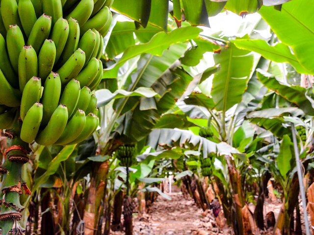    Фото: 123RF/underworld