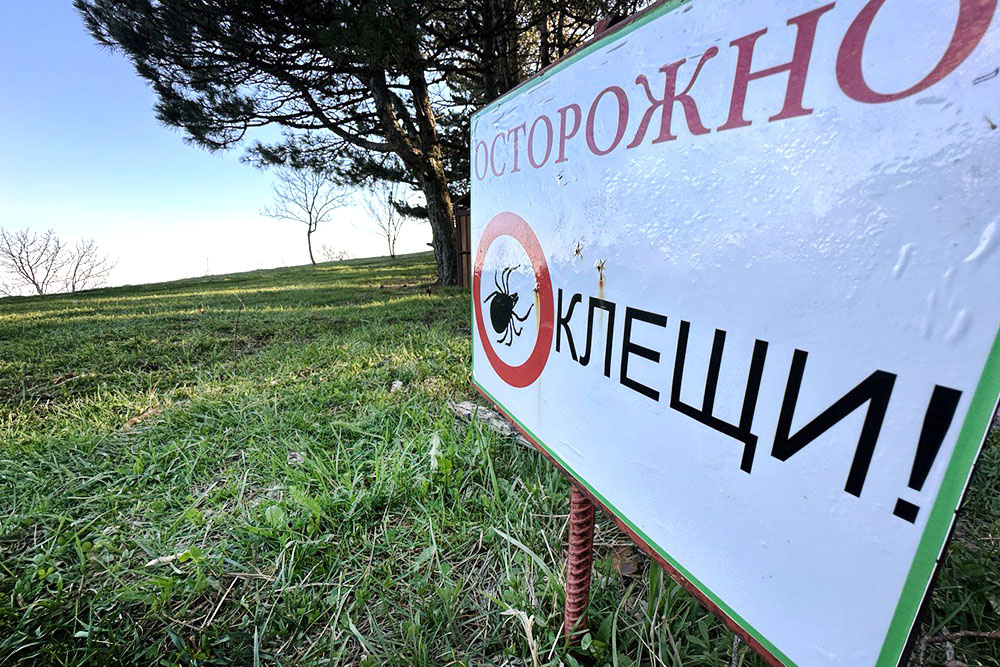    © TVC.RU/Андрей Гуцков