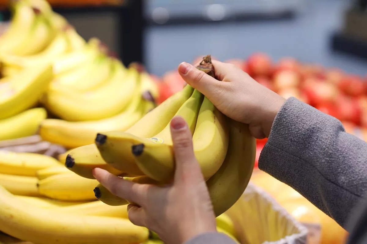    Фото: Виталий Тимкив, источник: РИА Новости