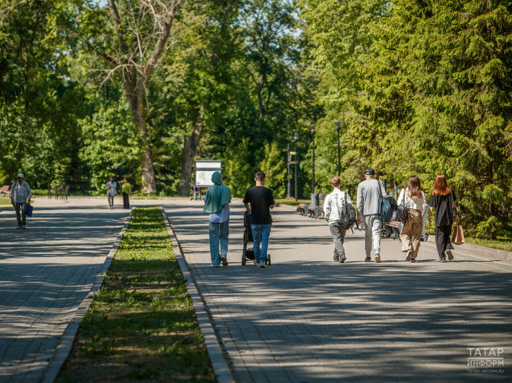     Фото: ИА "Татар-информ"