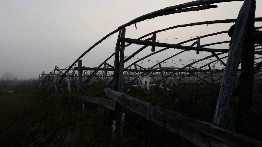    Фото: Dmitry Chasovitin/Global Look Press