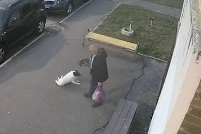     / Источник: Кадр из видео