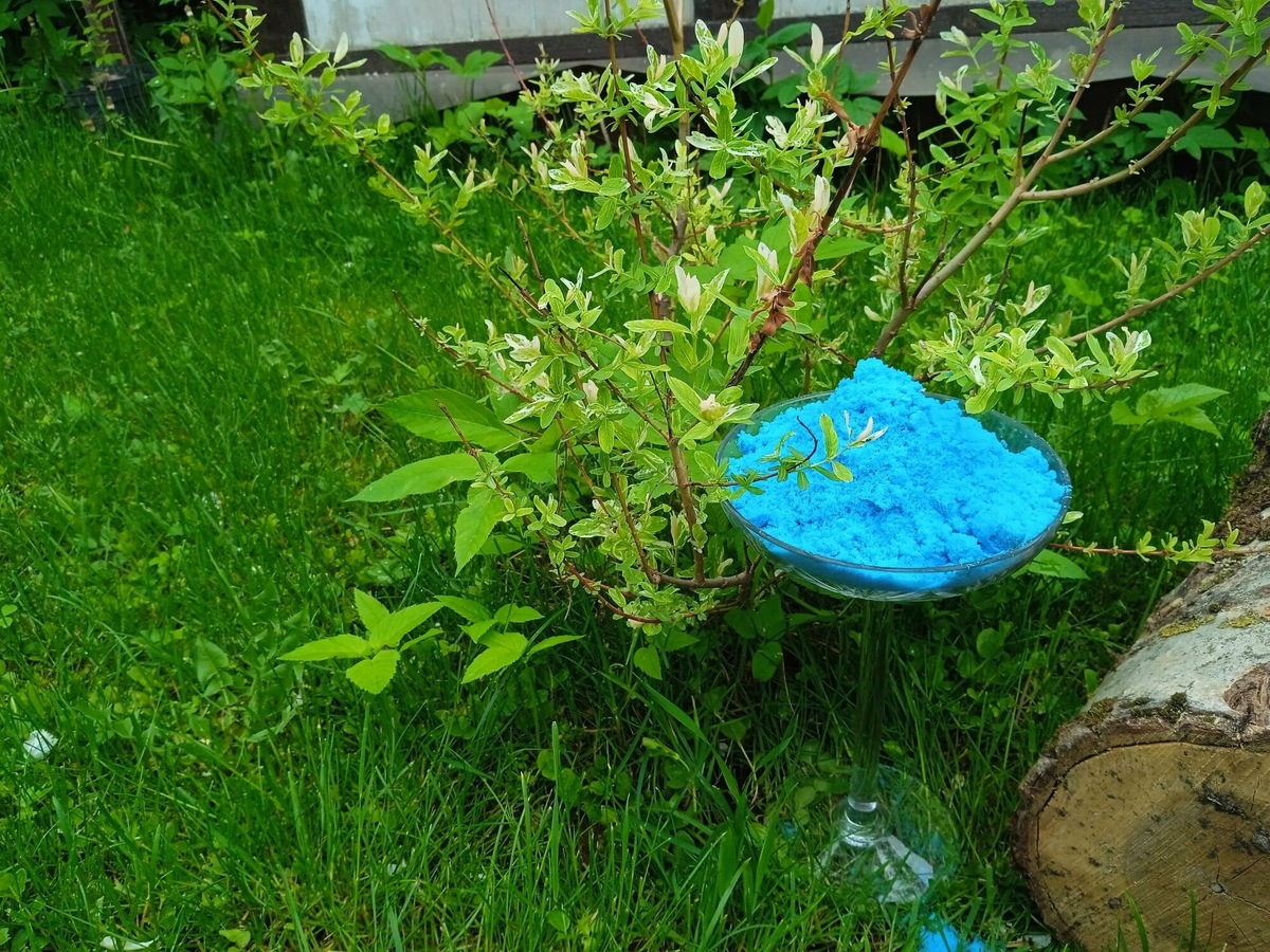 Осенняя обработка сада: почему купорос (медный/железный) — ваш главный союзник?