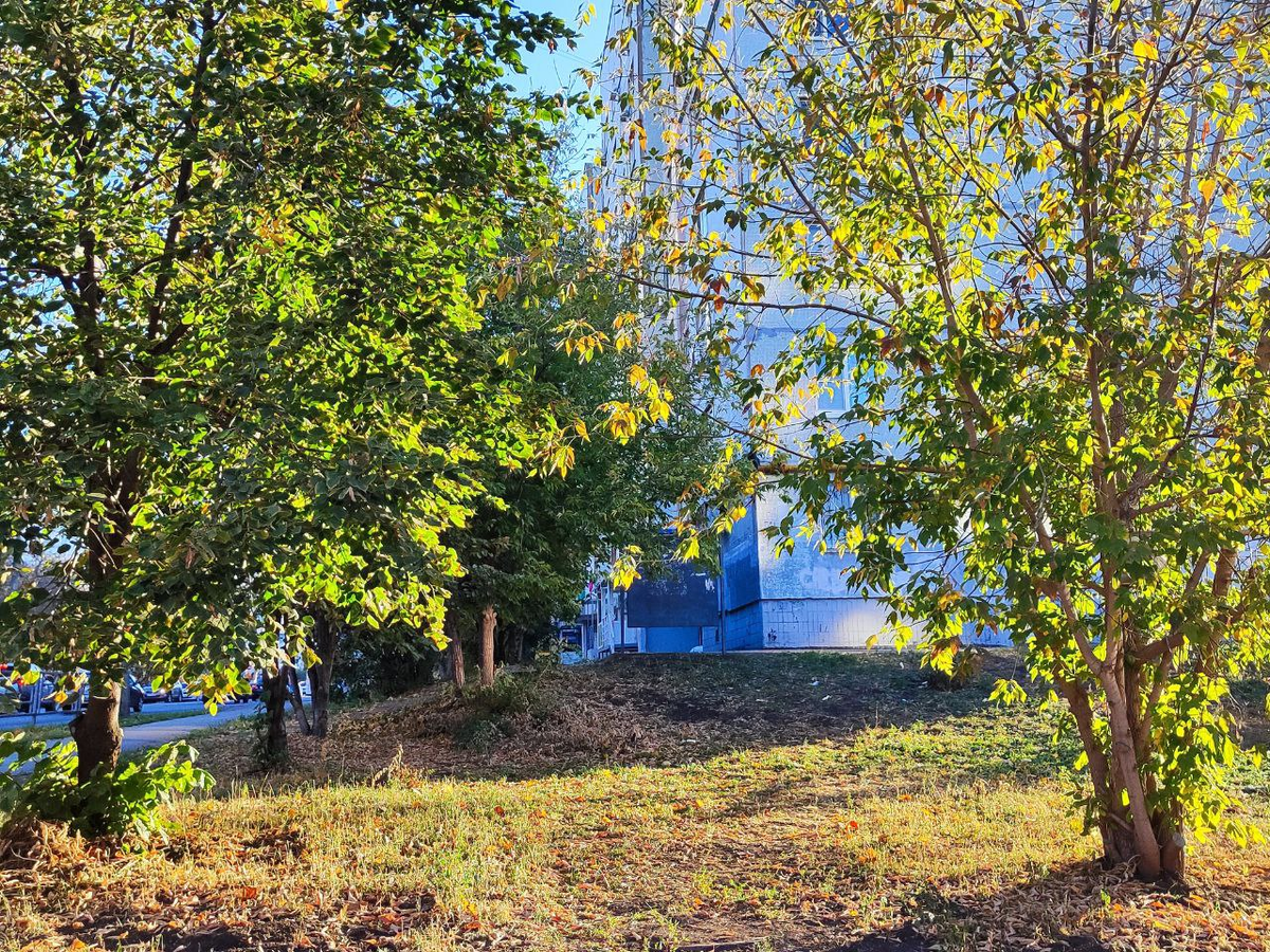 Фото автора.