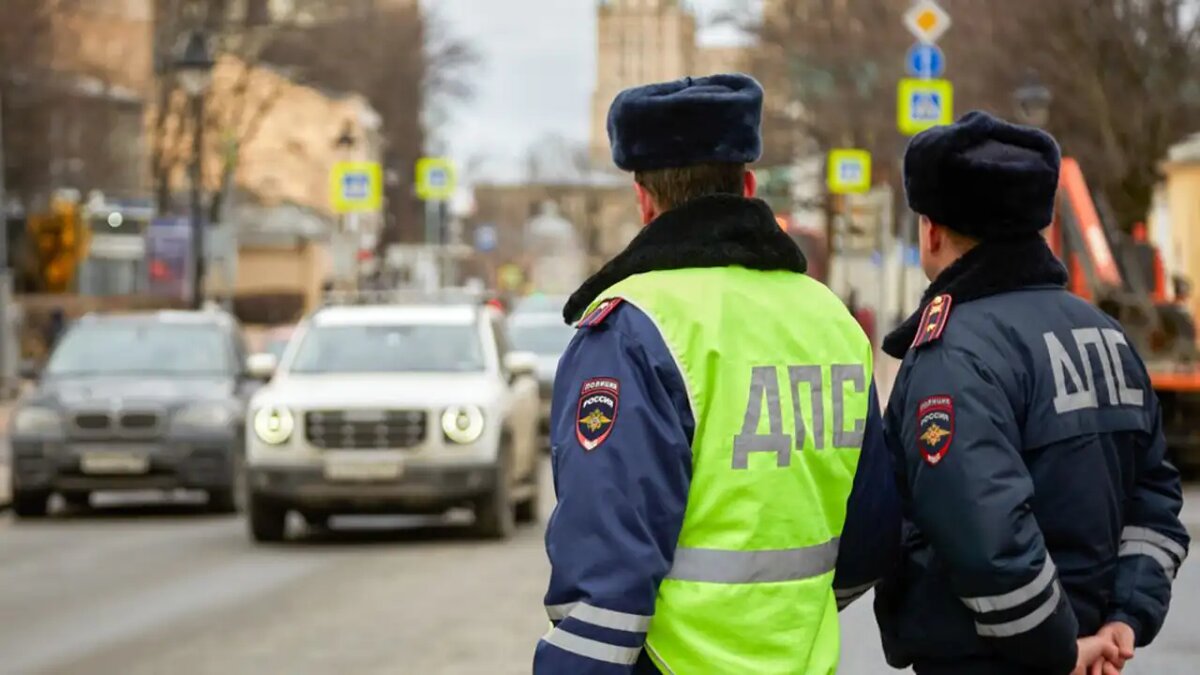     © АГН «Москва»