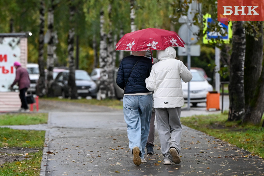 Иллюстративное фото из архива БНК