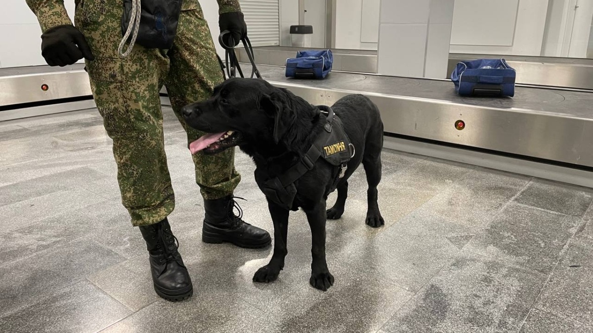 ИА SM-News Тюмень📷
