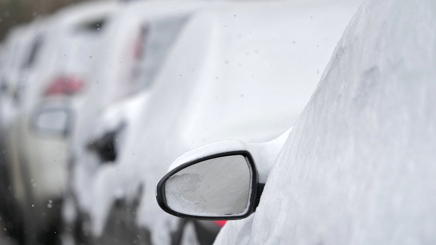    Фото: ИЗВЕСТИЯ/Дмитрий Коротаев; 5-tv.ru