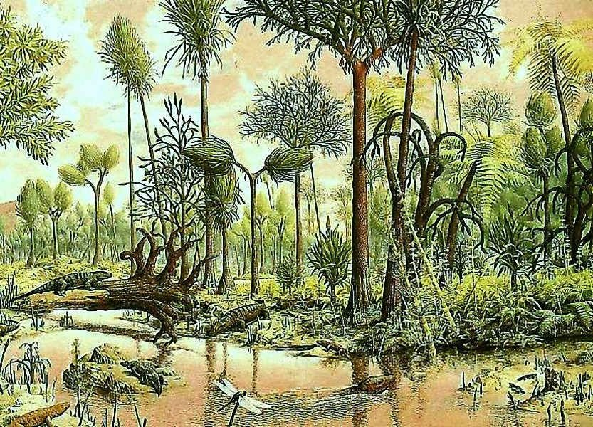 Лепидодедрон