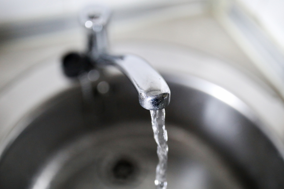    Алексей Белкин/NEWS.ru