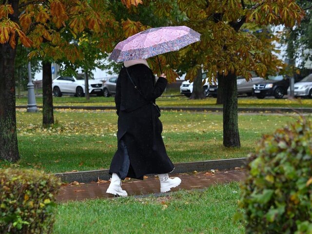    Фото: Москва 24/Антон Великжанин