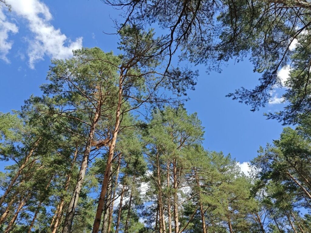    Фото: smolnarod.ru