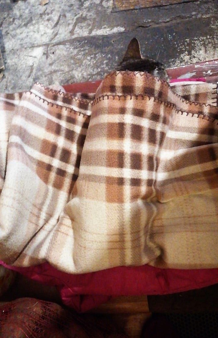 Благодарю за фото Наташу (МУСЮ).