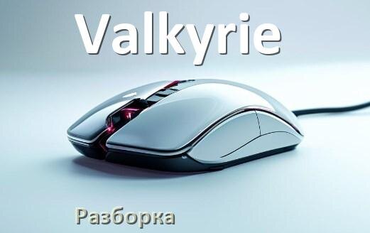 
Как разобрать мышку Valkyrie без болтов и почистить самому