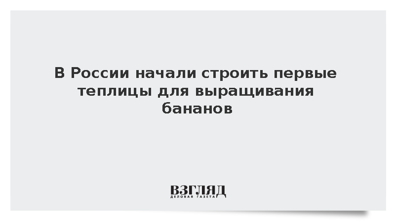     Фото: Bulkin Sergey/news.ru/Global Look Press   
 Текст: Евгения Караваева