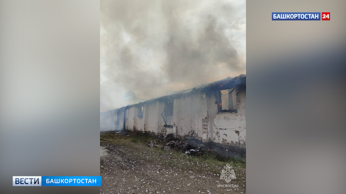   В Кигинском районе Башкортостана сгорело сенохранилище