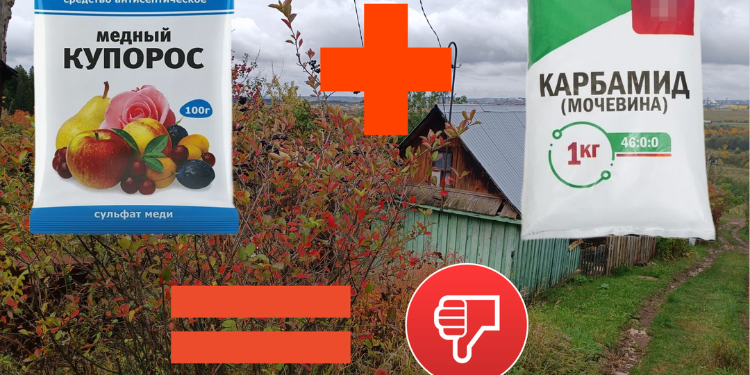 Баковая смесь «мочевина + купорос»: почему её нельзя смешивать и чем заменить