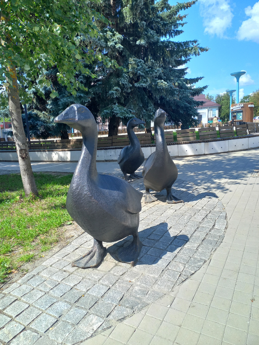 Гуси важно вышигивают по улице Карла Маркса