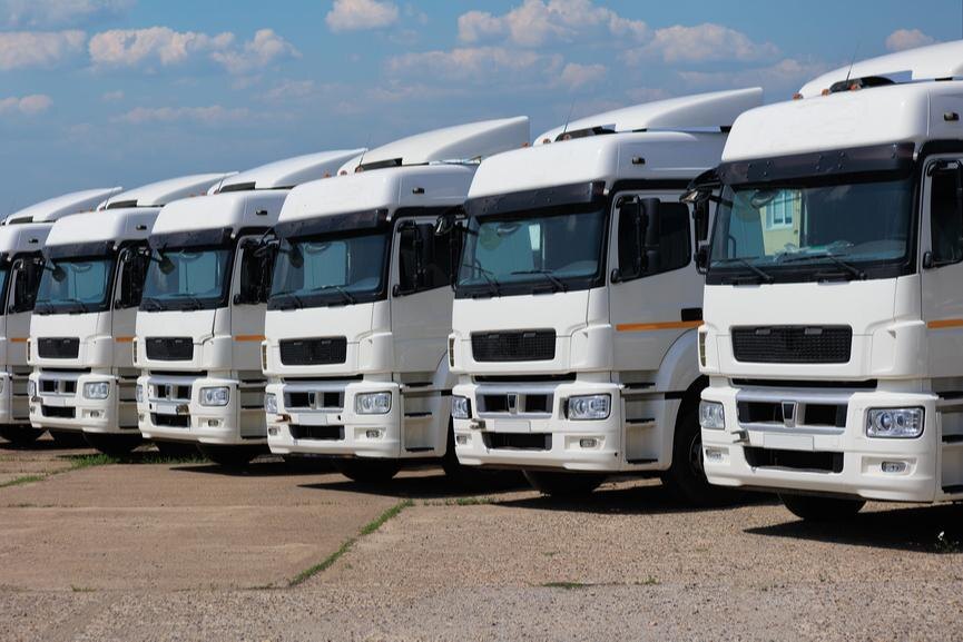     © Юрий Бизгаймер / Фотобанк Лори