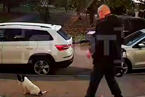 Кадр из видео/Telegram-канал «SHOT»