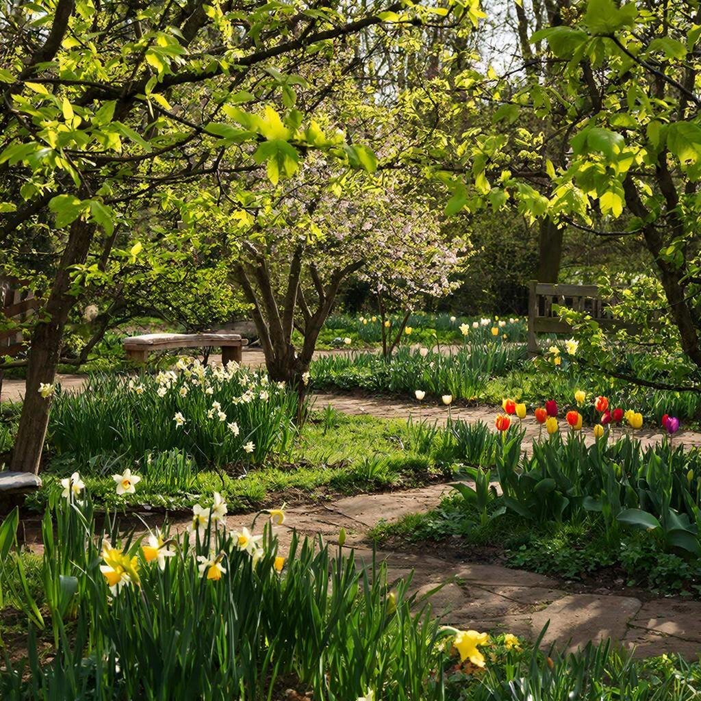 Весенний сад: тюльпаны украшение весны.