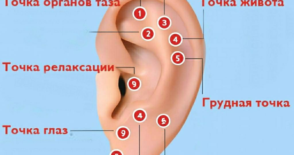 12 тайных точек на ваших ушах, которые помогут снять боль, вернуть тонус и забыть о стрессе