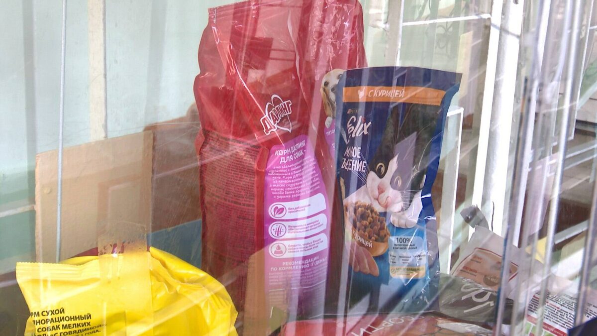 Фото предоставлено Надеждой Багаутдиновой