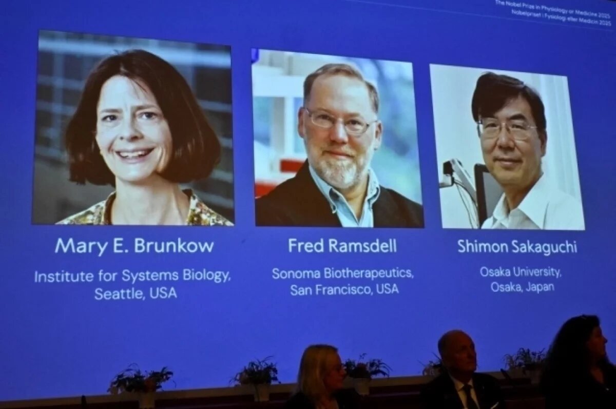    Шимон Сакагучи, Мэри Брункоу и Фред Рамсделл получат награду за исследования иммунитета.