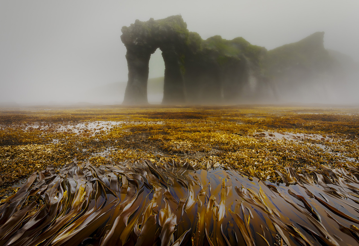 Александр Лаврентьев