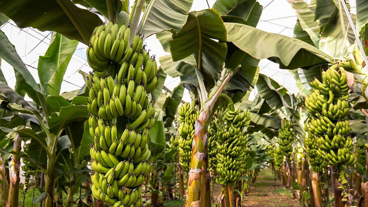    Фото: Shutterstock