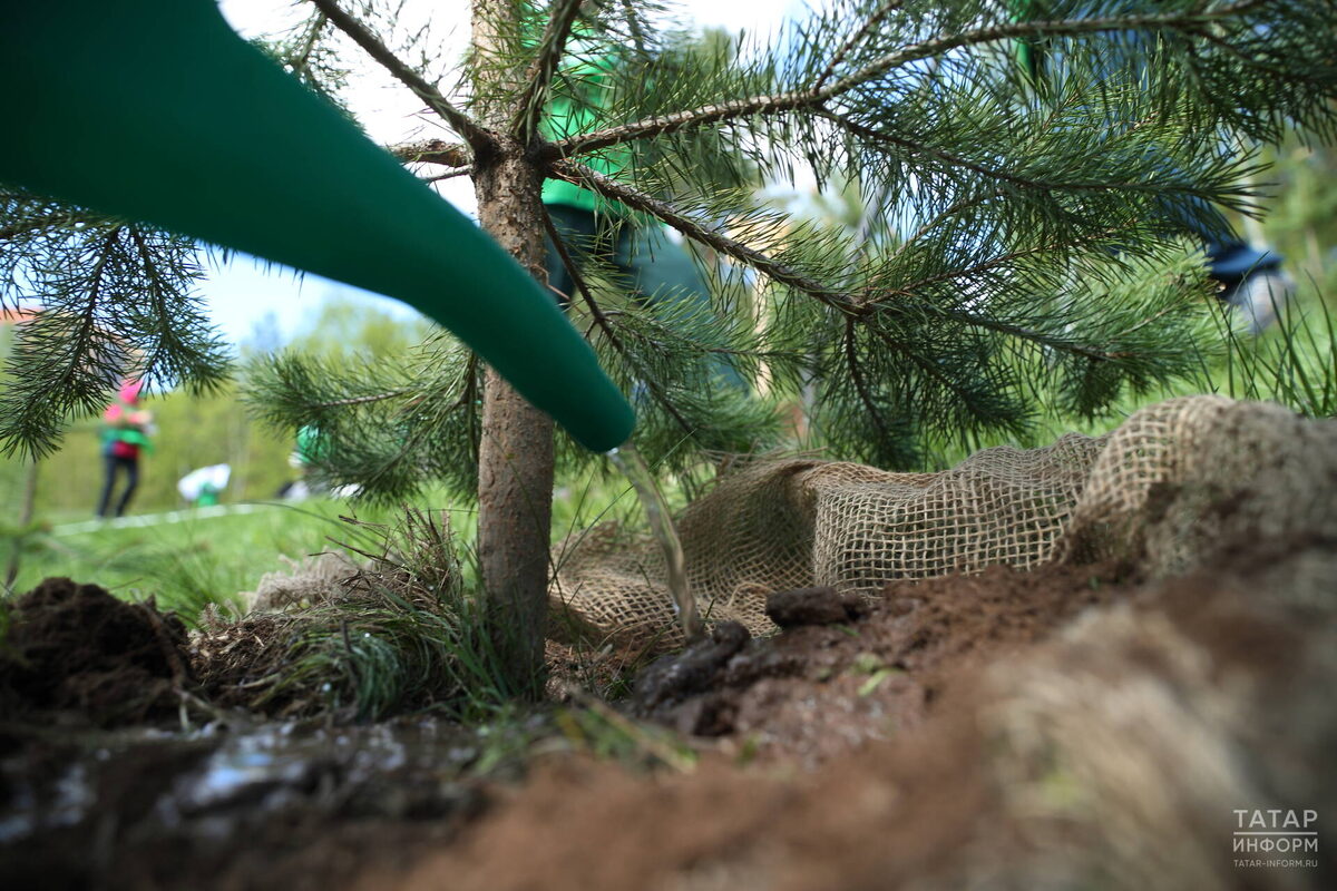 Фото: © Михаил Захаров / «Татар-информ»