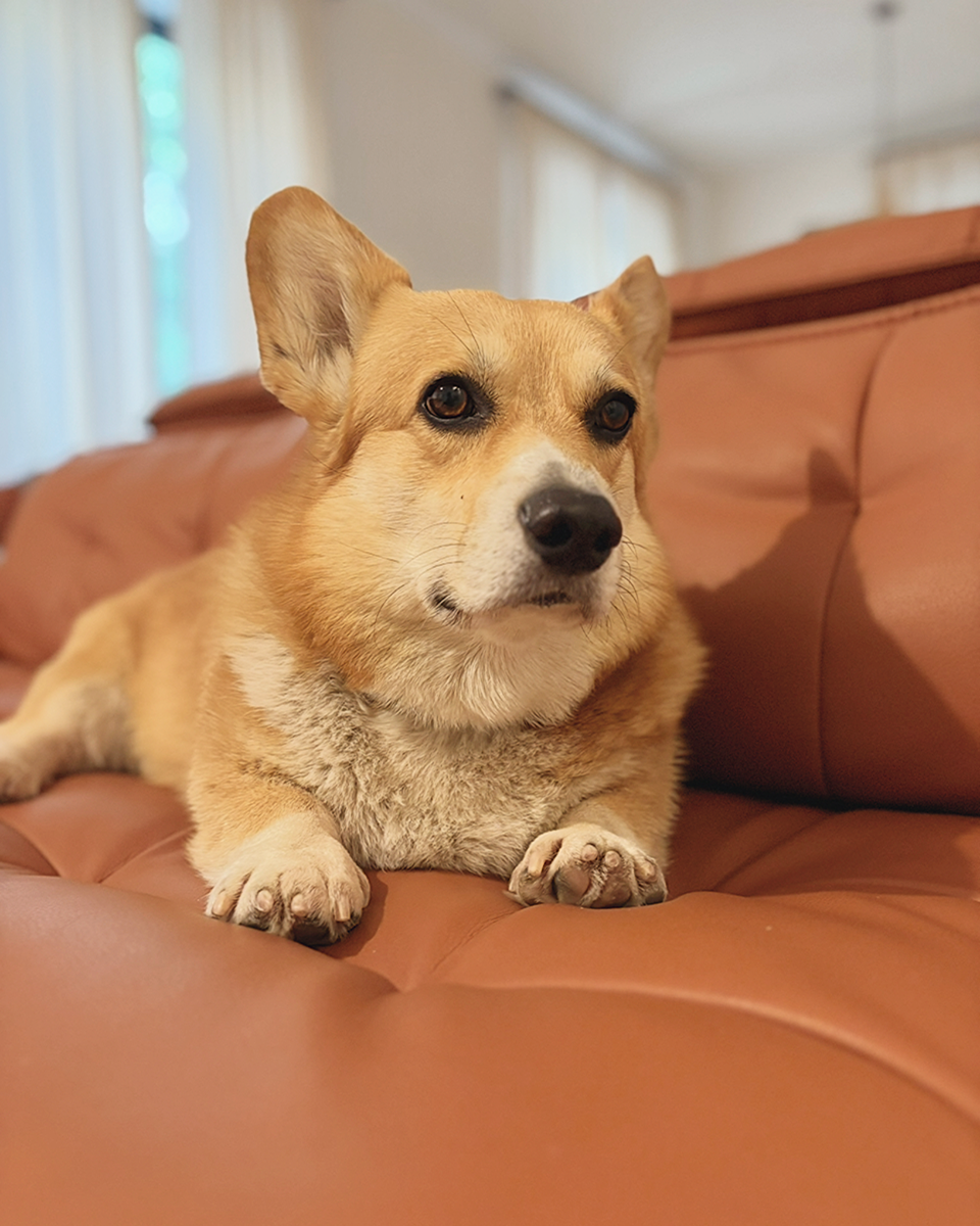 Мой дом - мой тронный зал