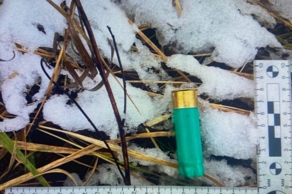    Подозреваемые в незаконной охоте задержаны в Маслянинском районе